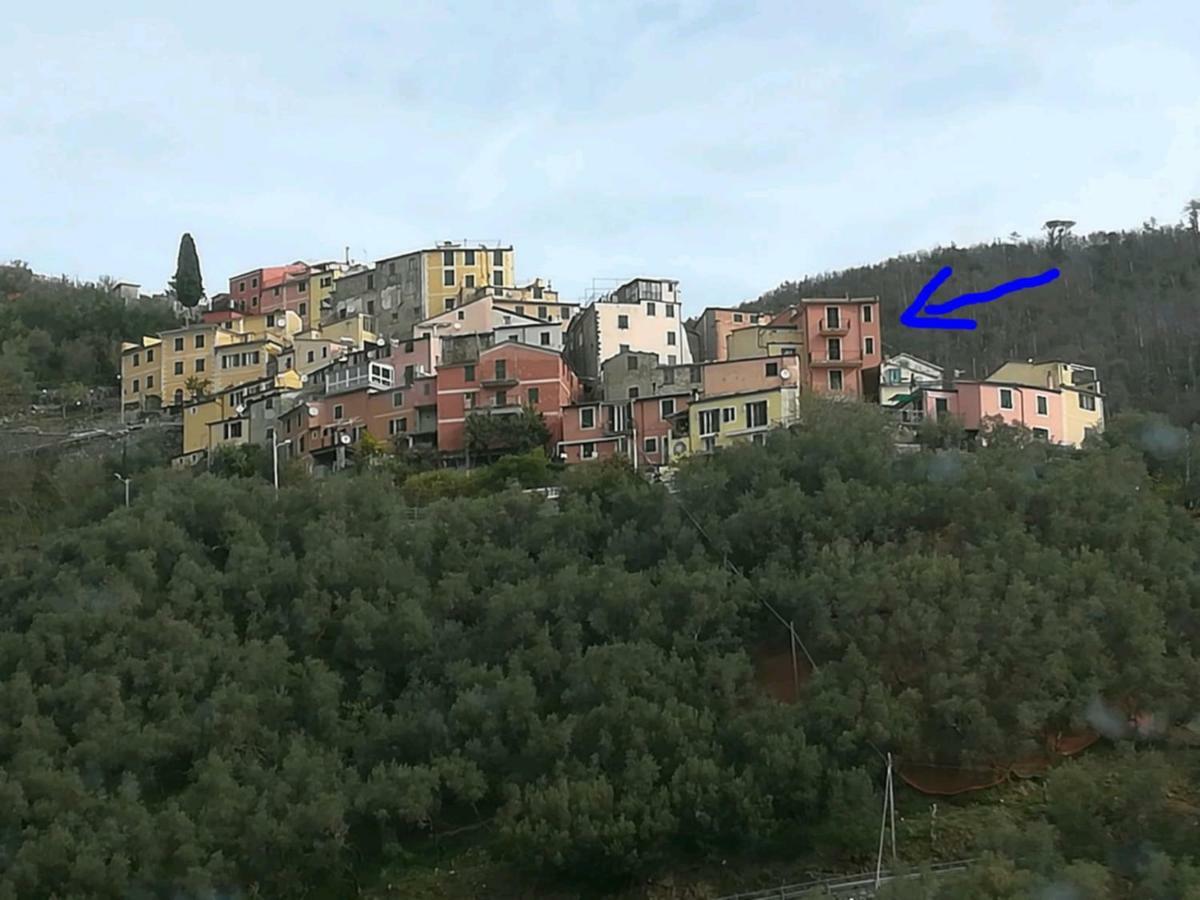 Casa Luna Rossa Levanto Exteriér fotografie